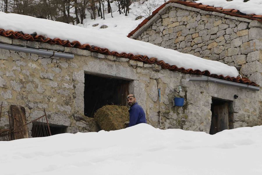 Vuelve el frío a Asturias