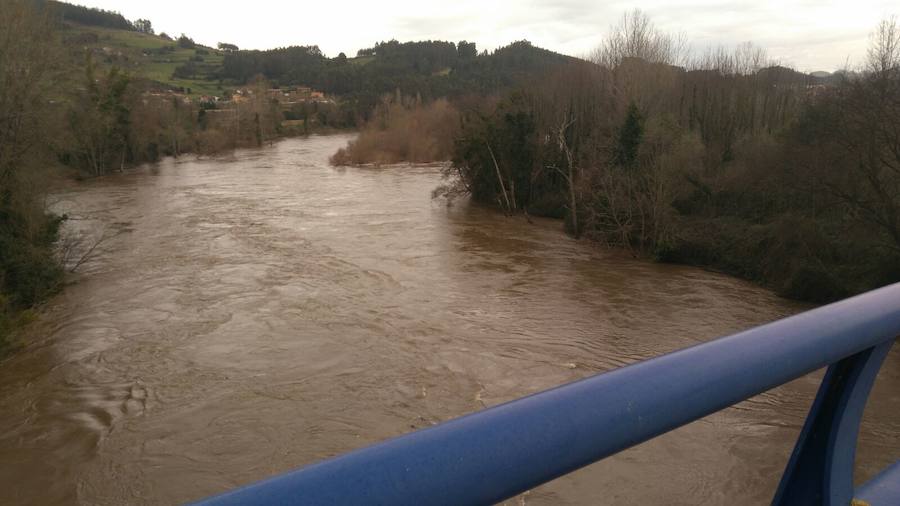 La localidad praviana de Quinzanas está en prealerta por el alto nivel del cauce del Narcea. Los ríos aumentan su caudal con el aumento de las temperaturas que provoca el deshielo. El Nalón a su paso por Pravia también pasa caudaloso.