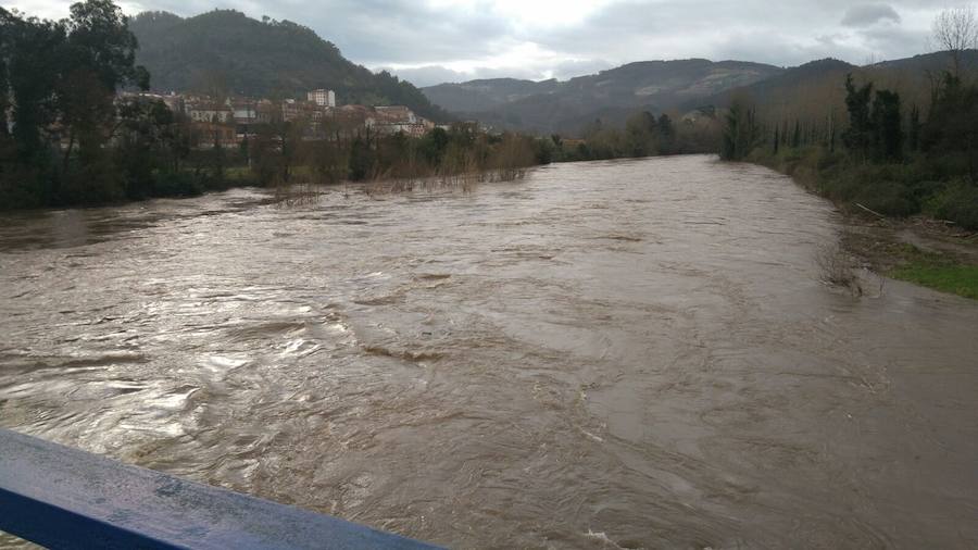 La localidad praviana de Quinzanas está en prealerta por el alto nivel del cauce del Narcea. Los ríos aumentan su caudal con el aumento de las temperaturas que provoca el deshielo. El Nalón a su paso por Pravia también pasa caudaloso.