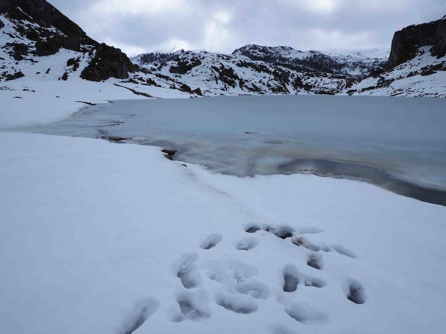 Fin de semana de nieve en Los Lagos de Covadonga - Asturias