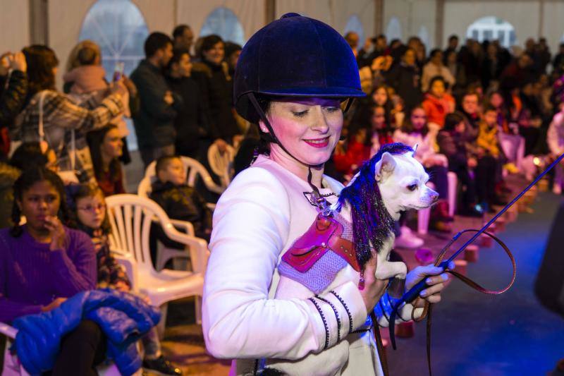 El antroxu cangués disfrutó de un divertido desfile en el que los perros pasearon divertidos atuendos.