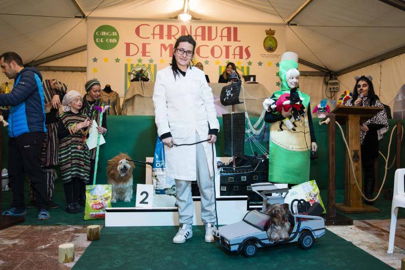 El antroxu cangués disfrutó de un divertido desfile en el que los perros pasearon divertidos atuendos.