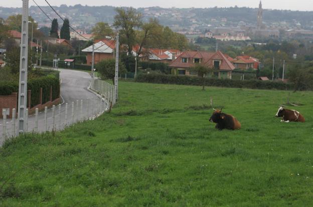 Terrenos de Castiello anteriormente previstos en el PGO. 