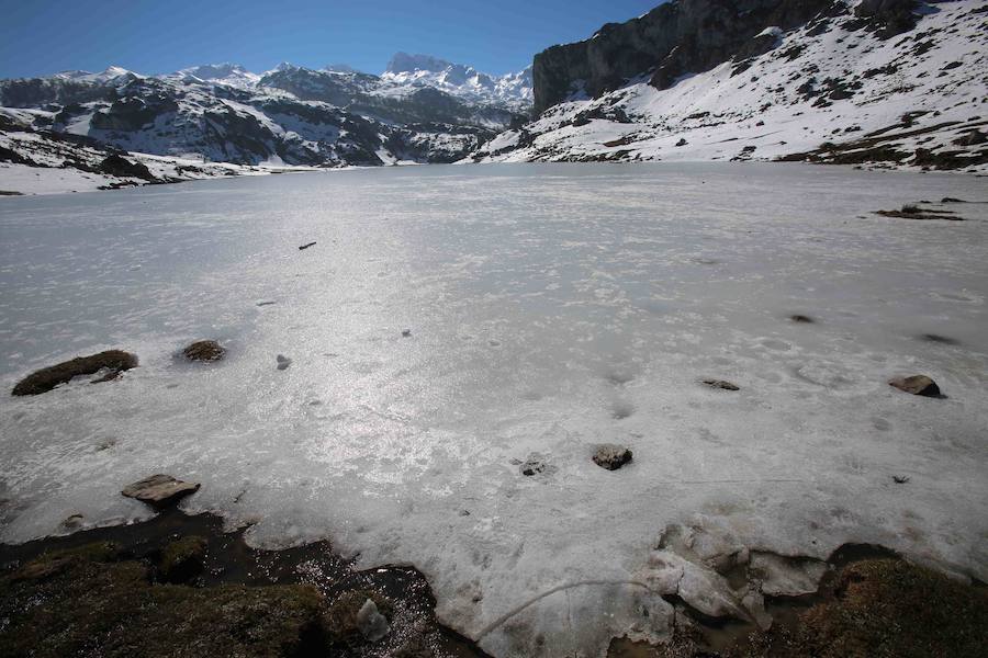 Fotos: La belleza helada de los lagos de Covadonga