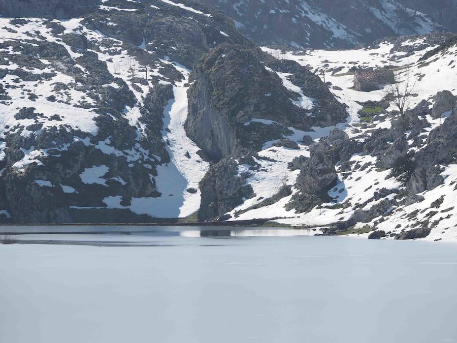 Fotos: La belleza helada de los lagos de Covadonga