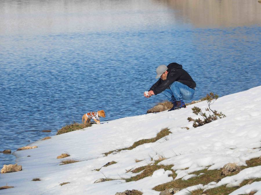 Fotos: La belleza helada de los lagos de Covadonga