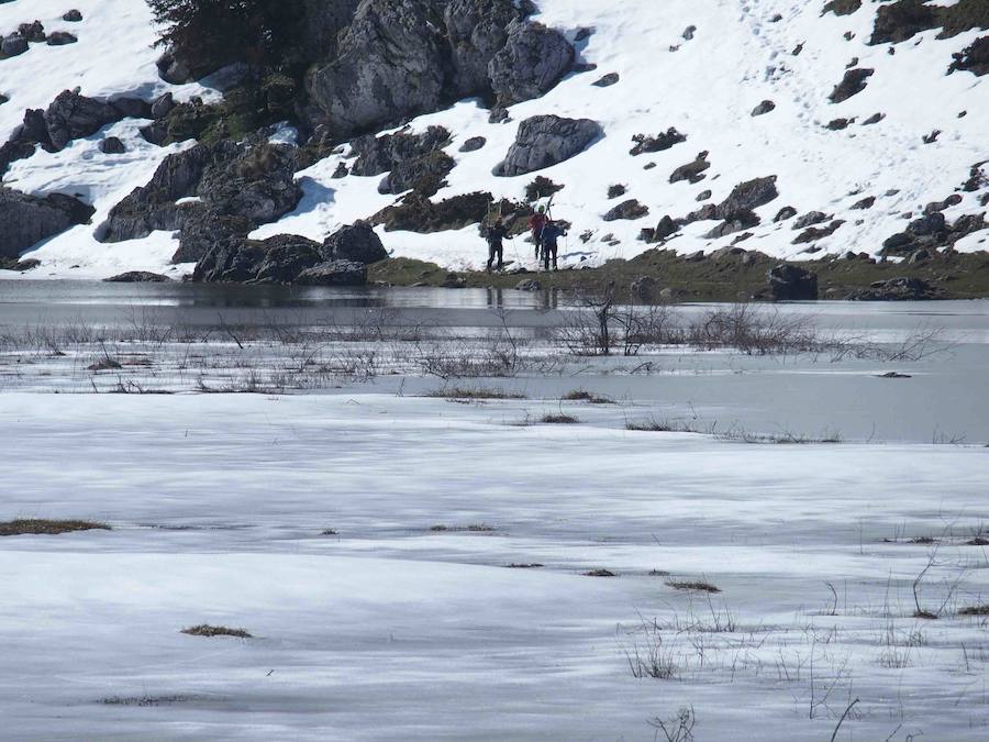 Fotos: La belleza helada de los lagos de Covadonga