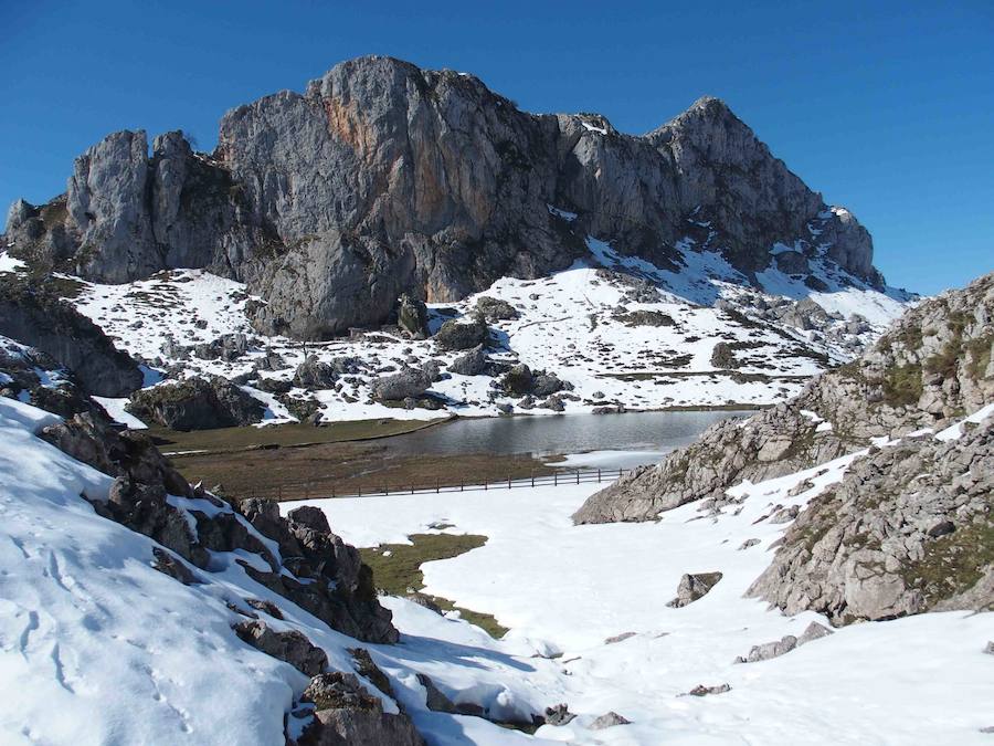 Fotos: La belleza helada de los lagos de Covadonga