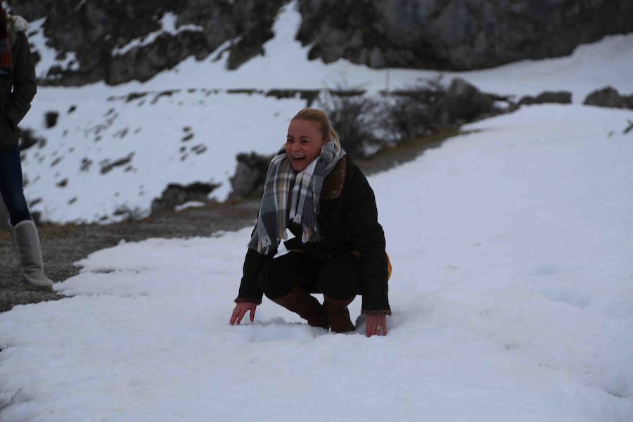 Fotos: Asturias se protege del frío siberiano