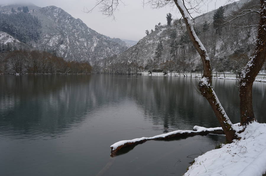 Fotos: El occidente asturiano amanece bajo un manto blanco