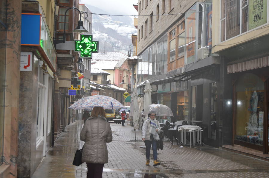 Fotos: El occidente asturiano amanece bajo un manto blanco