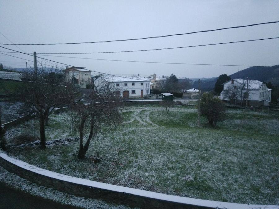 Fotos: El occidente asturiano amanece bajo un manto blanco