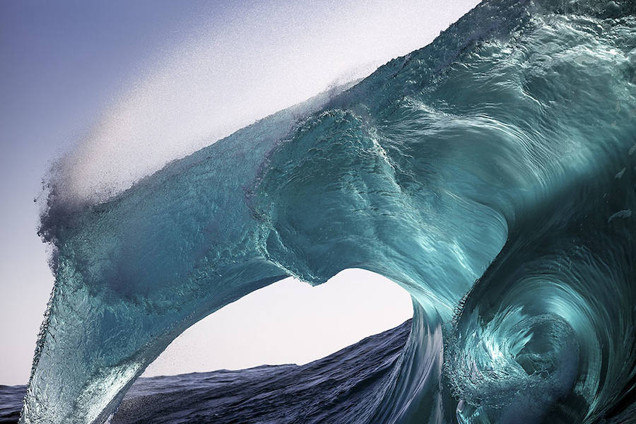 SEA HORSE - Ganador: Paisajes Naturales