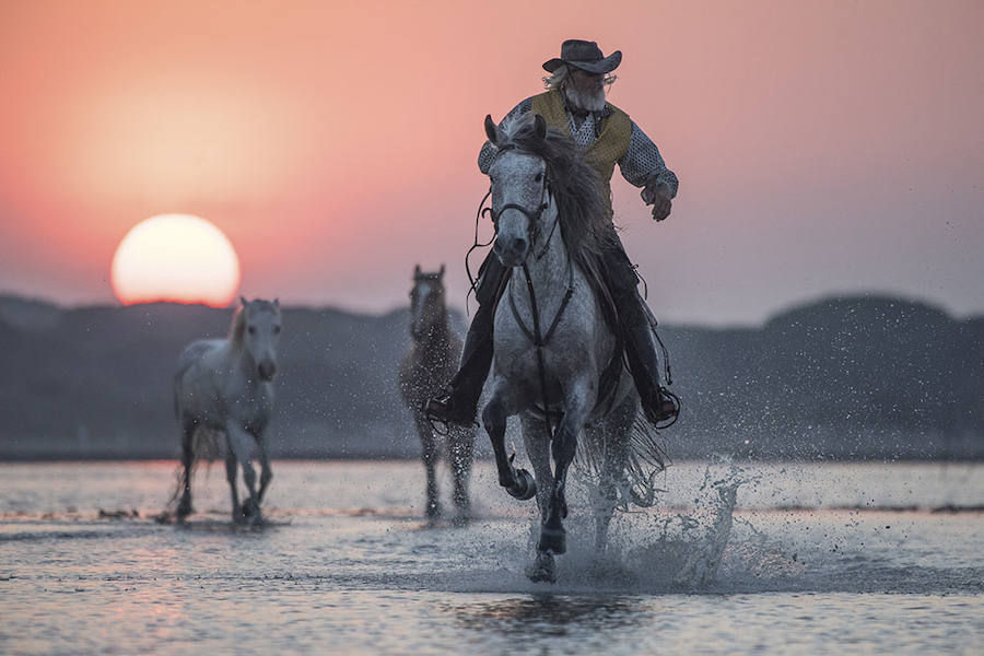 THE GUARDIAN - Mención de Honor: Hombre en Montaña-Naturaleza