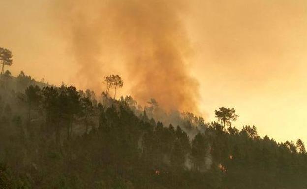 Cuatro concejos de Asturias están este sábado en riesgo 'muy alto' por incendios forestales