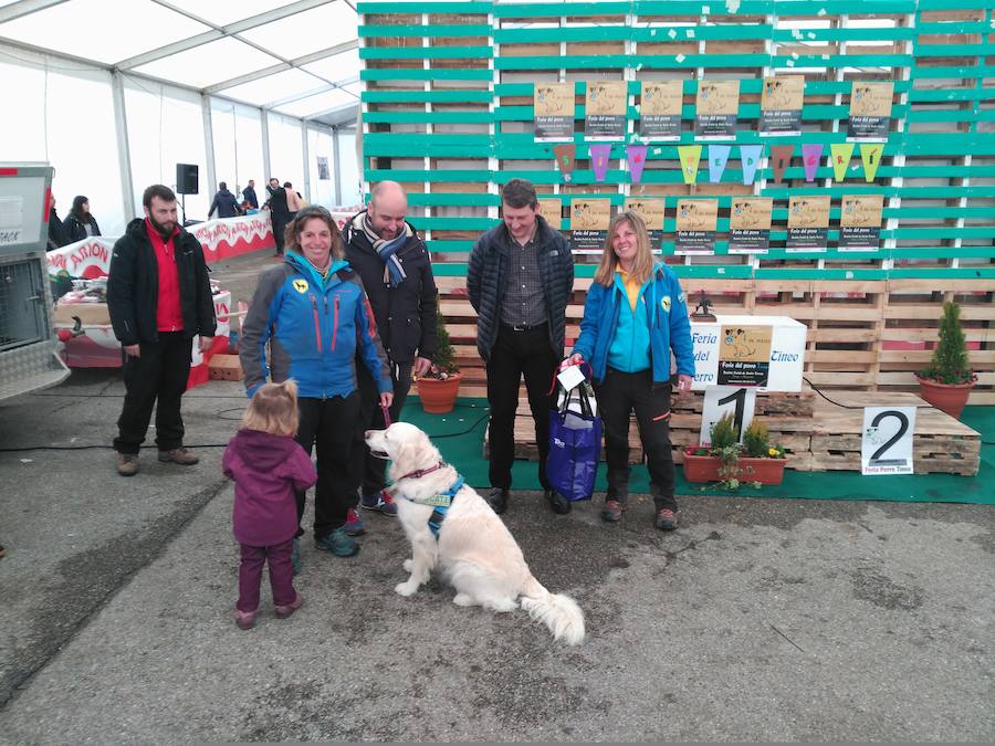 El recinto ferial de Tineo acoge la XXIV edición de la Feria del Perro, un evento convertido ya en referente dentro del panorama regional y nacional