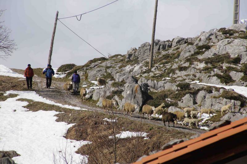 La estación de Vlagrande-Pajares fue la más afectada con rachas que alcanzaron los 72 kilómetros por hora.