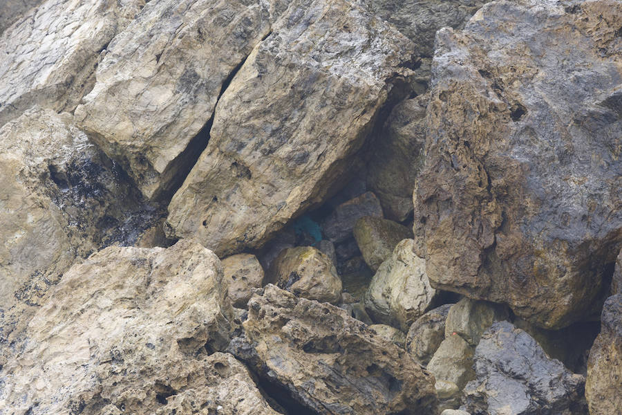 Fotos: Dispositivo de búsqueda en Gijón de Lorena Torrre, la mujer desaparecida