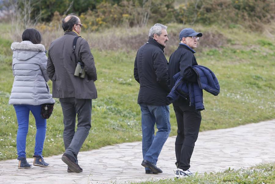 La búsqueda de Lorena Torre se ha reanudado este viernes. Más de cuarenta efectivos participan en el operativo, que rastrea la costa de Gijón en busca de algún indicio sobre la mujer, que desapareció el pasado día 1. 