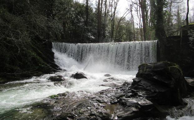 Cascada de Suarón. El agua, en todas sus formas, moldea el paisaje sonoro de Asturias. La cascada del río Suarón, con su atronador canto, es un buen ejemplo de ello.