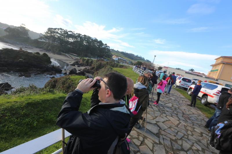 Nueva jornada de búsqueda de Concepción Barbeira en Avilés. Más de 300 personas han participado en el rastreo de la costa en el entorno de la playa de Santa María del Mar. 