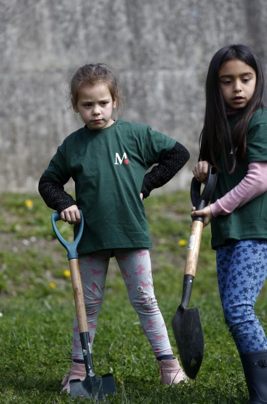 Decenas de alumnos de Primaria de Oviedo han participado en una plantación de árboles enmarcada en una jornada de sensibilización ambiental organizada por la corporación Masaveu. Los árboles, todos de especies autóctonos, repoblarán un terreno próximo a la fábrica de cemento. En la actividad han participado Alicia Castro Masaveu y el alcalde de Oviedo, Wenceslao López.