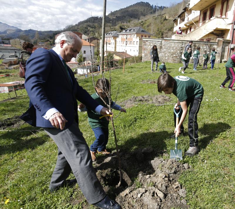 Decenas de alumnos de Primaria de Oviedo han participado en una plantación de árboles enmarcada en una jornada de sensibilización ambiental organizada por la corporación Masaveu. Los árboles, todos de especies autóctonos, repoblarán un terreno próximo a la fábrica de cemento. En la actividad han participado Alicia Castro Masaveu y el alcalde de Oviedo, Wenceslao López.