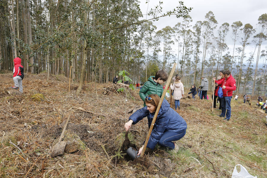 Fotos: El día de los Bosques trae nuevos árboles para el Monte Deva