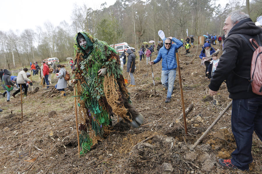 Fotos: El día de los Bosques trae nuevos árboles para el Monte Deva