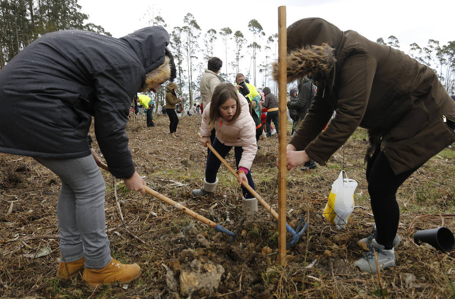 Fotos: El día de los Bosques trae nuevos árboles para el Monte Deva