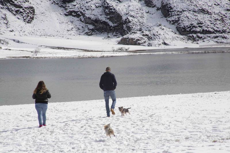 Fotos: Fin de semana de nieve en los Lagos