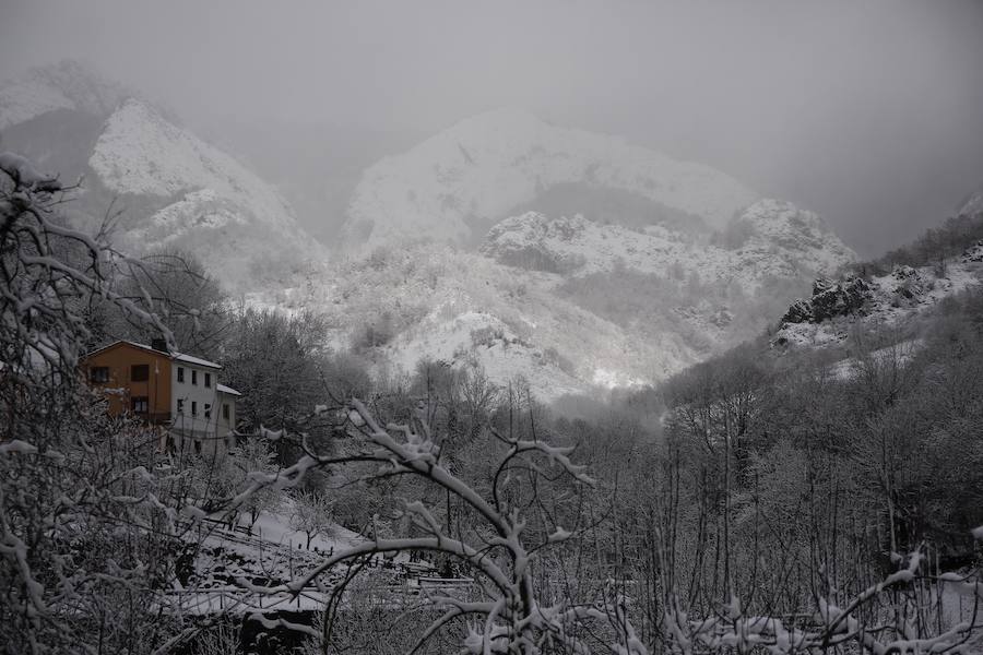 Un temporal de nieve cubre Asturias de blanco a pocas horas de la llegada de la primavera. La comarca de Picos de Europa se encuentra en alerta roja por nevadas que pueden dejar espesores de hasta cuarenta centímetros, mientras que en Suroccidente y Valles Mineros se esperan acumulaciones cercanas a los veinte centímetros.