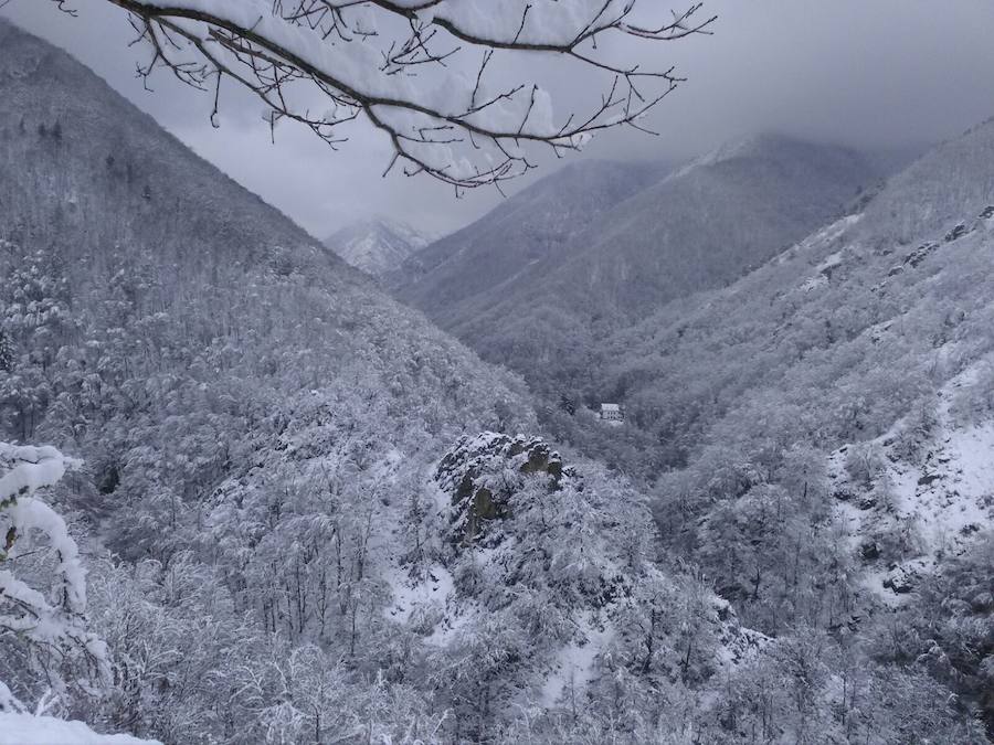 A pocas horas para la llegada de la primavera, gran parte de Asturias está cubierta por un manto blanco. La nieve complica la circulación en muchas carreteras. Incluso en la autopista del Huerna, que ha estado cerrada a camiones durante varias horas.