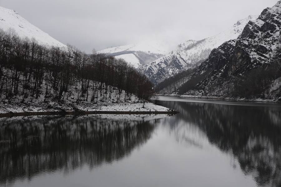 A pocas horas para la llegada de la primavera, gran parte de Asturias está cubierta por un manto blanco. La nieve complica la circulación en muchas carreteras. Incluso en la autopista del Huerna, que ha estado cerrada a camiones durante varias horas. Donde no nieva, la lluvia y el frío son protagonsitas de la jornada. 