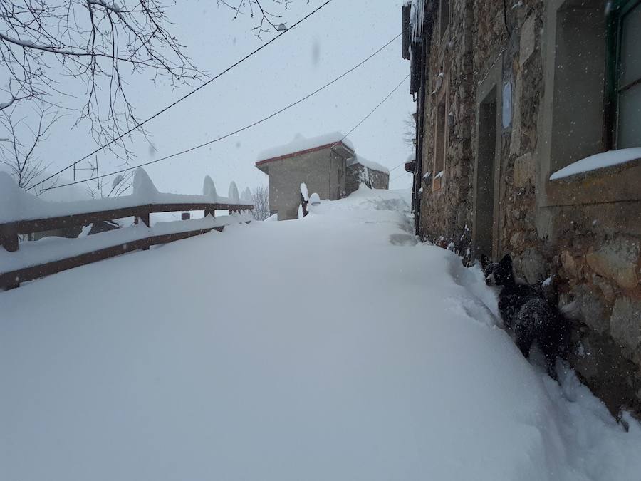 Fotos: Medio metro de nieve en los pueblos del Oriente asturiano