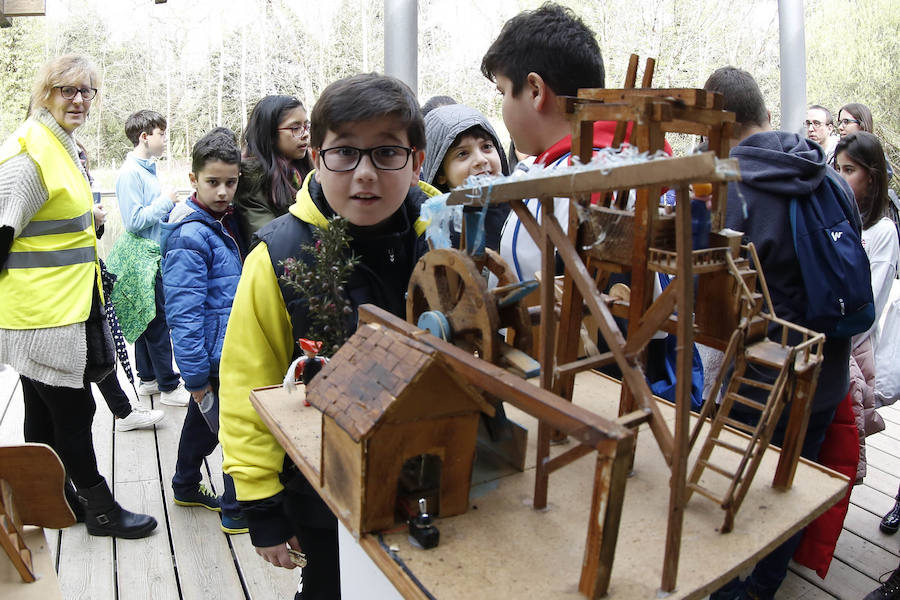 Fotos: Día Mundial del Agua en el Botánico