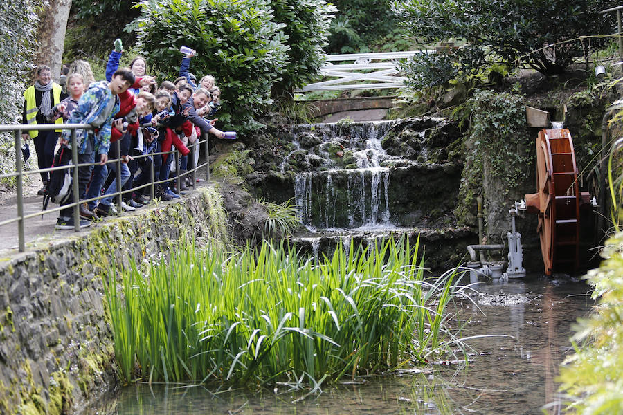Fotos: Día Mundial del Agua en el Botánico