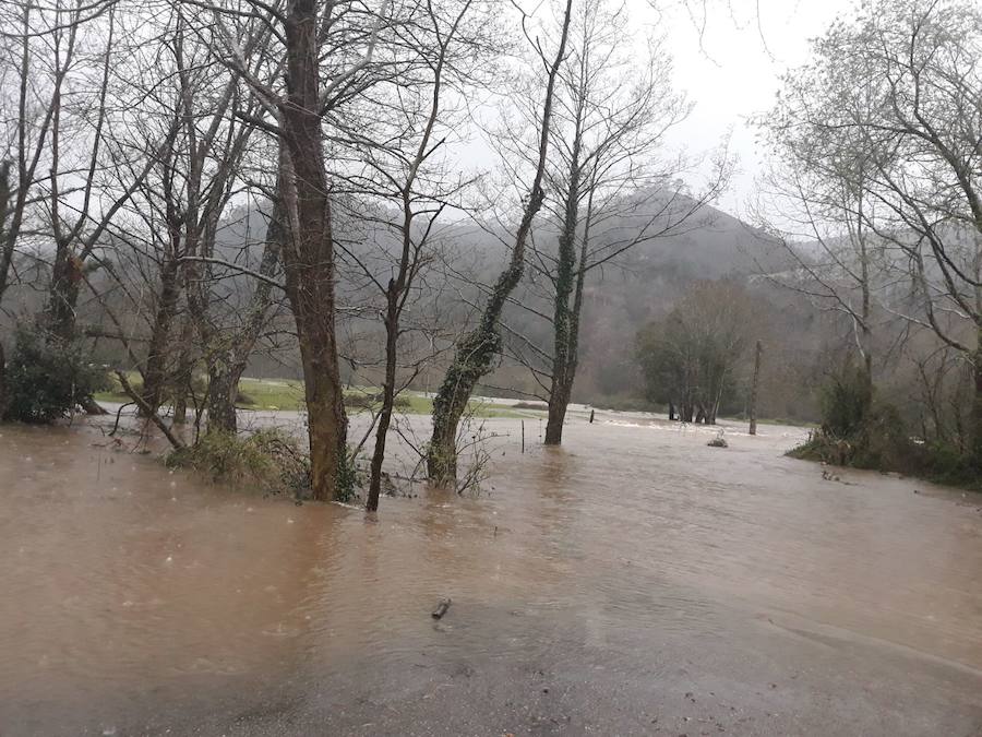 Las intensas y constantes lluvias de este domingo han ocasionado inundaciones en varios puntos del Principado, que ha activado el nivel de prealerta en fase 2