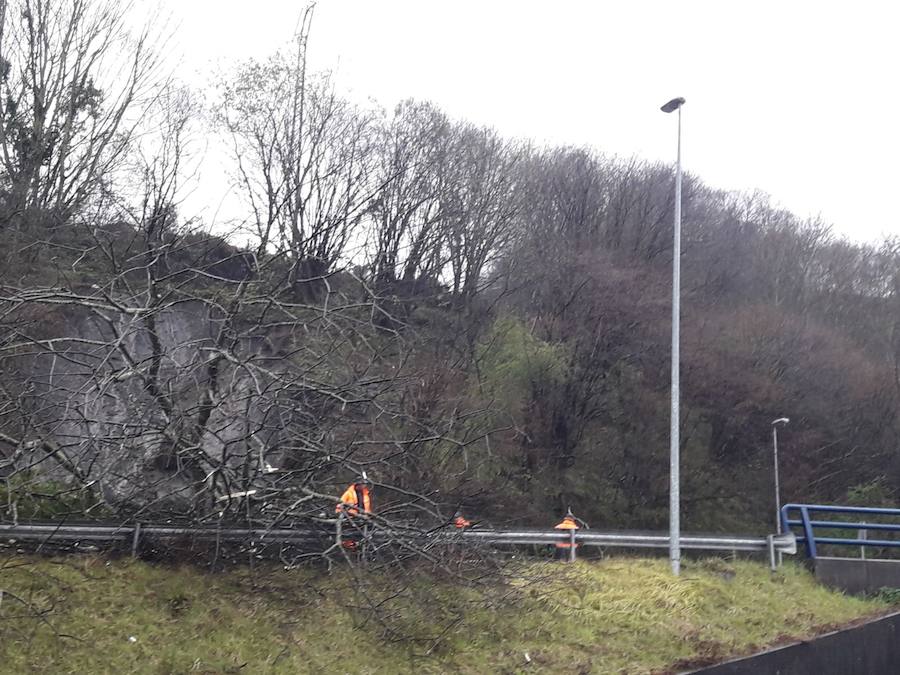 Las intensas y constantes lluvias de este domingo han ocasionado inundaciones en varios puntos del Principado, que ha activado el nivel de prealerta en fase 2