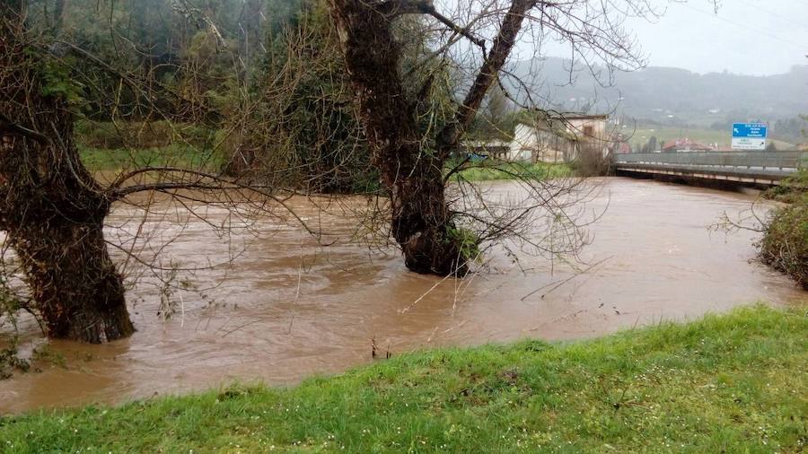 Las intensas y constantes lluvias de este domingo han ocasionado inundaciones en varios puntos del Principado, que ha activado el nivel de prealerta en fase 2