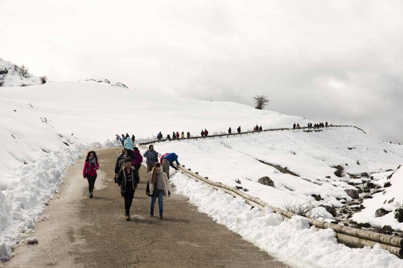 Fotos: El buen tiempo llena las calles de Asturias