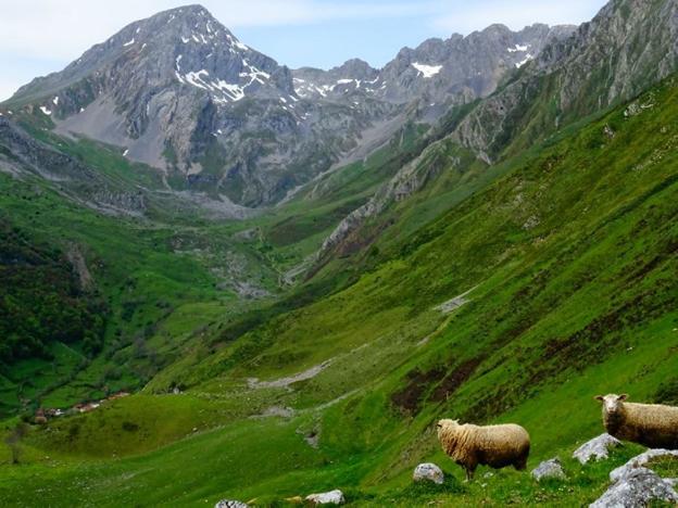 La braña Foxón, con el Peña Ubiña al fondo. :: CELICIA HUERTA