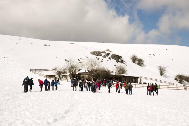 La preciosa estampa que ofrece estos días el paraje protegido atrae a multitud de turistas y provoca colas