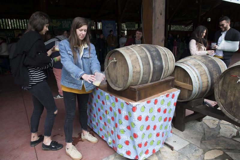 Decenas de personas se han congregado este jueves en el Museo del Pueblo de Asturias para inaugurar el noveno festival Primer Sidre l'Añu, en el que setenta llagares dan a probar hasta el domingo sus primeras producciones de la temporada. 