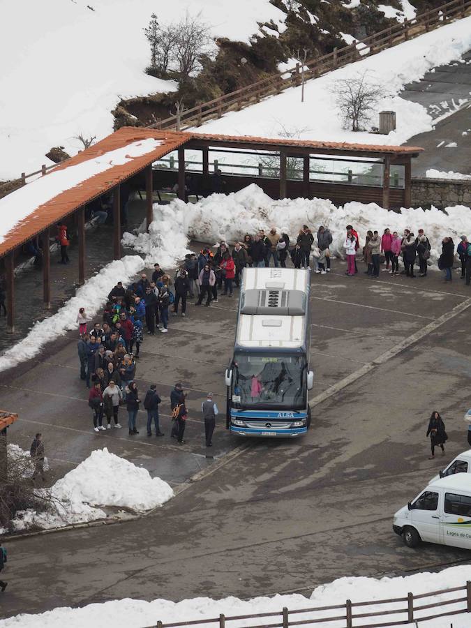 Fotos: Los turistas abarrotan el oriente asturiano