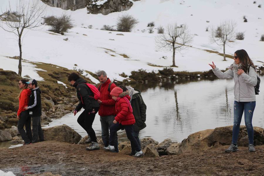 Fotos: Los turistas abarrotan el oriente asturiano