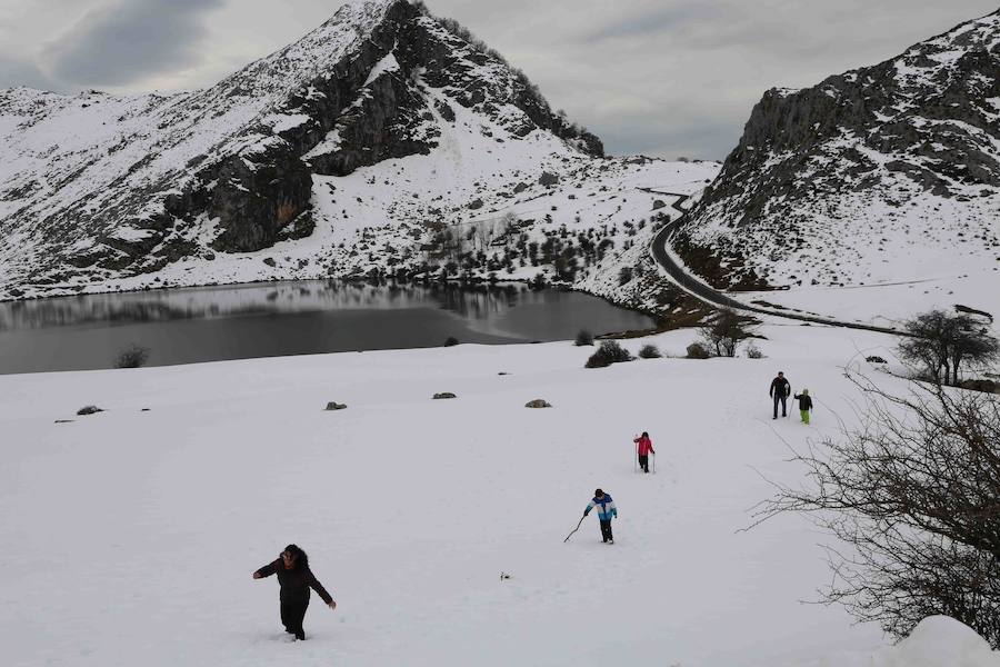 Fotos: Los turistas abarrotan el oriente asturiano