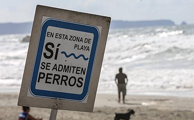 Castrillón permite el acceso con perros en una zona de la playa de Bayas . 