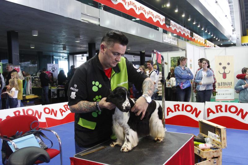 Parte de la actividad del Salón de la Mascota organizado por la Cámara de Comercio de Avilés tiene que ver con la peluquería canina