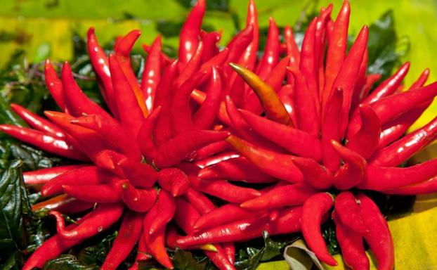 Hospitalizado con una explosiva migraña 'en trueno' por comerse la guindilla más picante del mundo